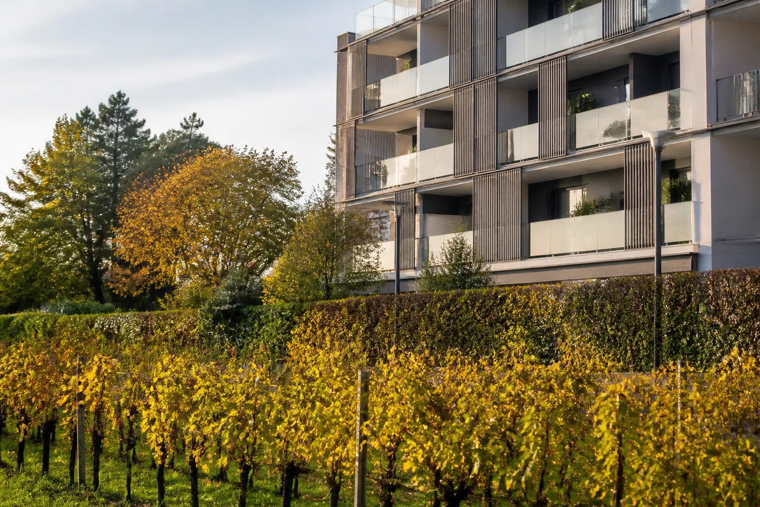 Residence neuve en bordure de vignes